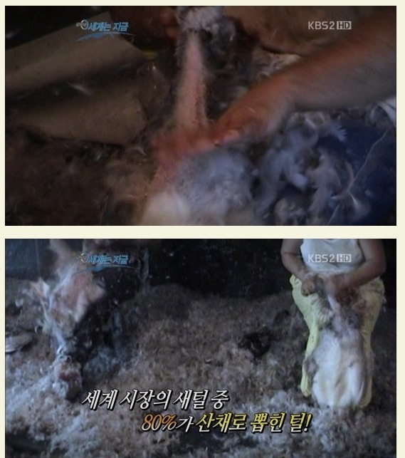 모르는 것은 죄가 아니다. 그러나 알고자 하지 않는 것은 죄다 | 인스티즈