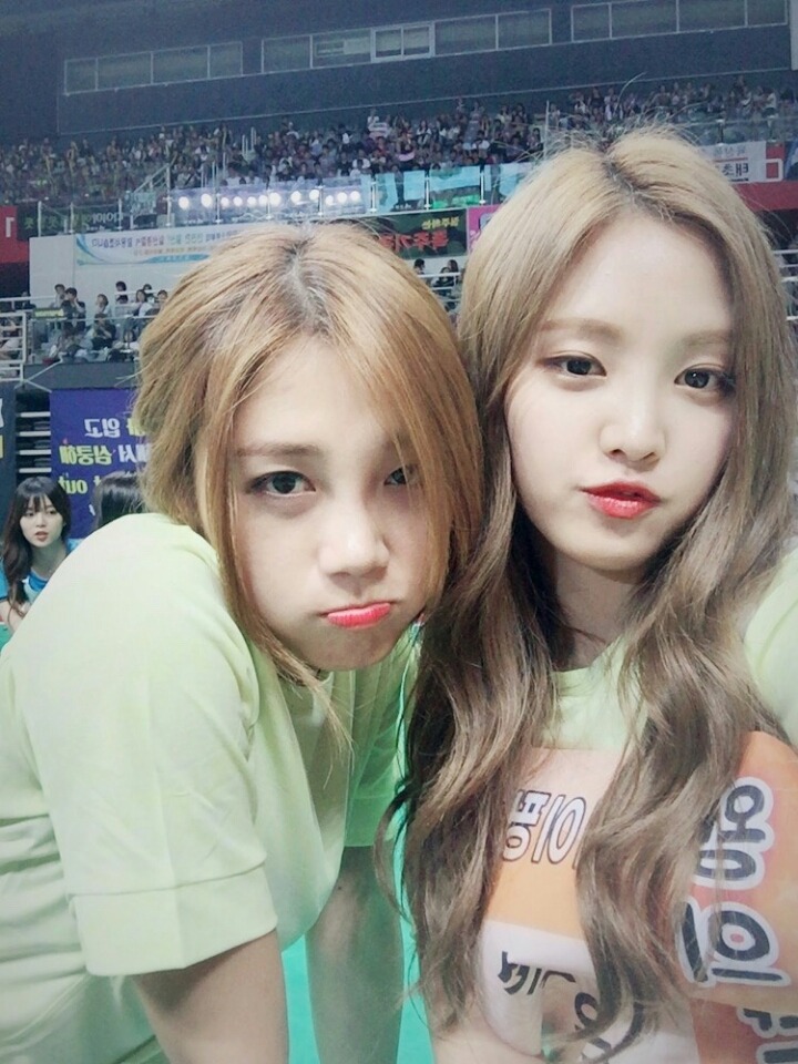 에이핑크 | 인스티즈