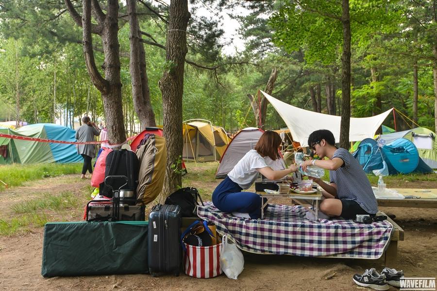 여름락페와는 또 다른 분위기가 있는 우리나라 봄 음악 페스티벌 (+ | 인스티즈