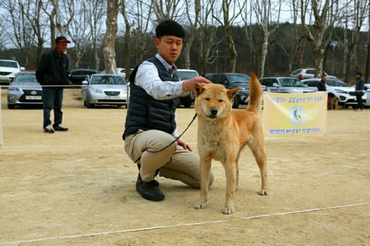 금화 이미지