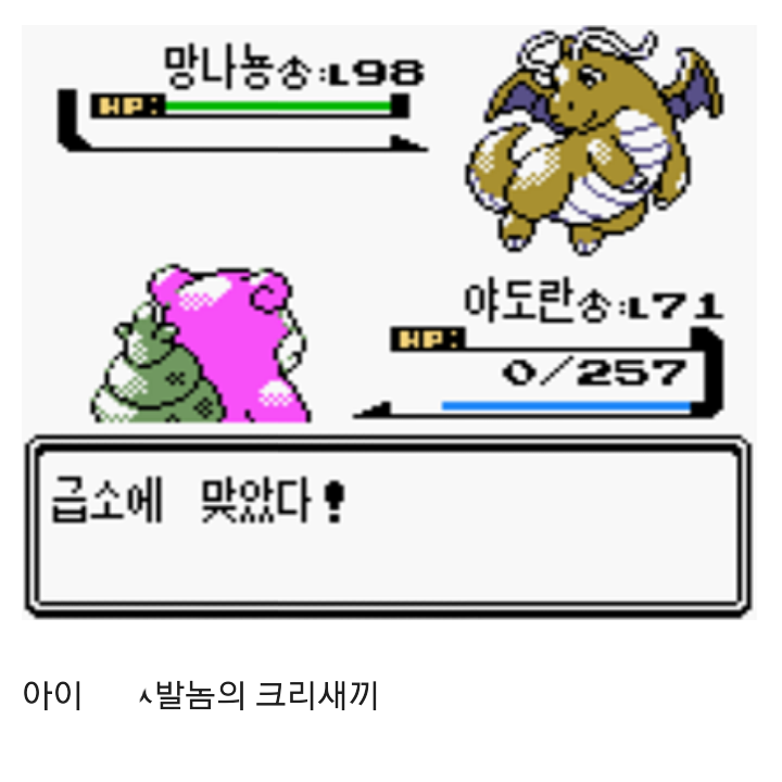 포켓몬스터 골드버전 잘못받아서 생긴 일 | 인스티즈