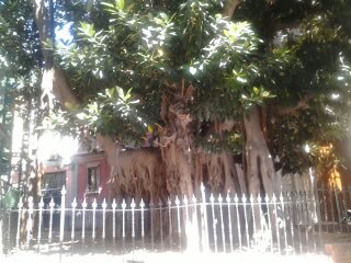 2347AB4B527CB5C116A507