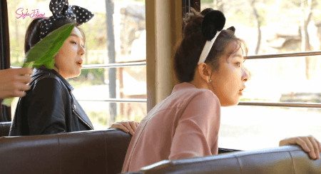 기린 보고 놀라는 슬기와 기린 줄 풀때기 보고 놀라는 아이린.gif | 인스티즈