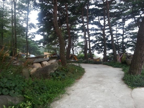 지리산의하루 이미지