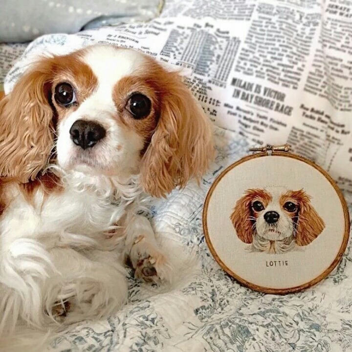 자수로 만든 반려동물 극사실주의 작품.jpg | 인스티즈
