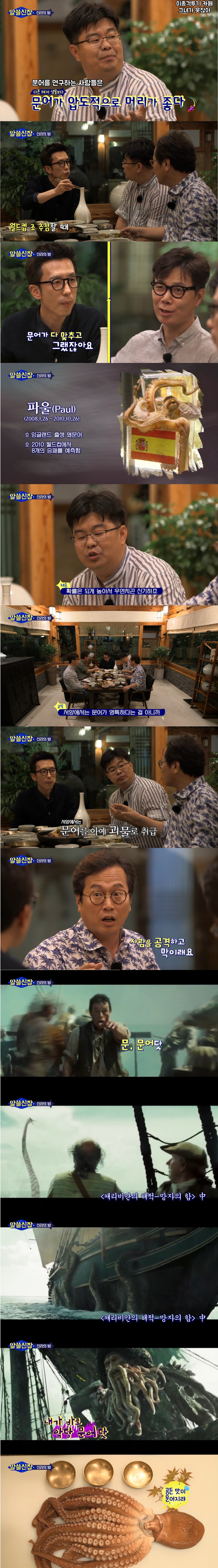문어 이야기.. (알쓸신잡) | 인스티즈