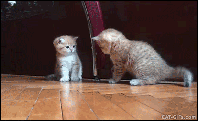 무서운 폭행.gif | 인스티즈