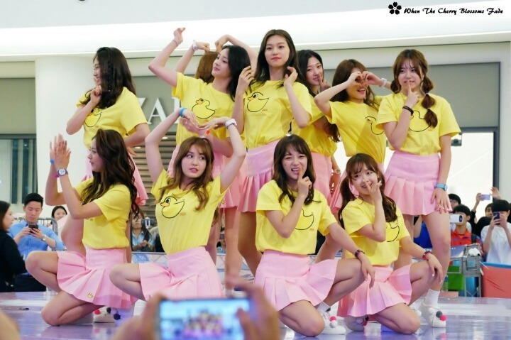 아이오아이 1주년기념짤 | 인스티즈