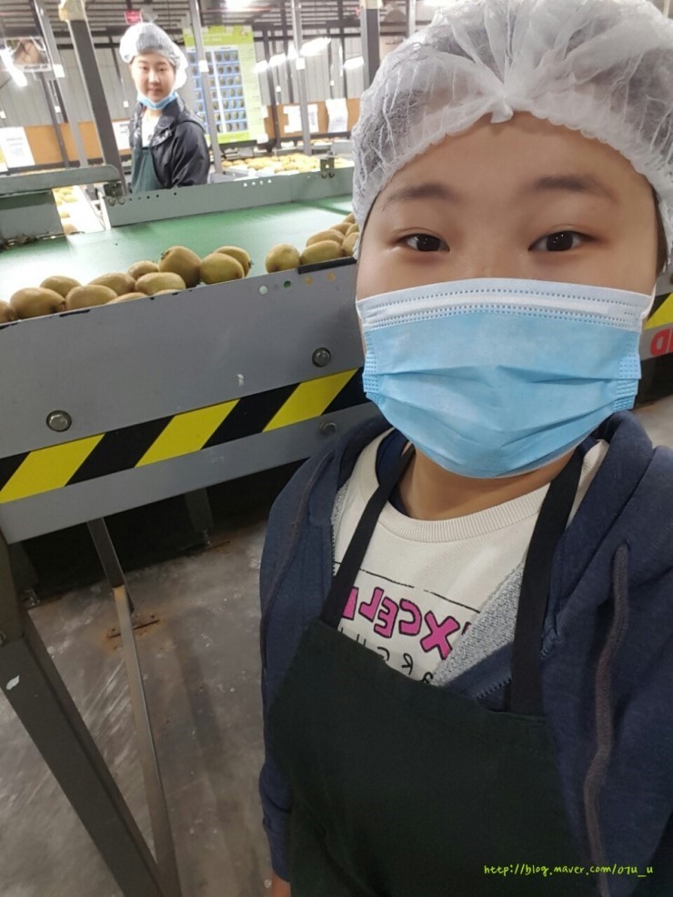 다니하우스 이미지