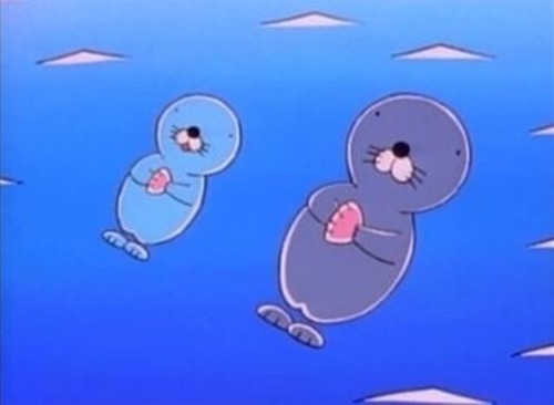 수달vs해달 이목구비 구분해드림 | 인스티즈