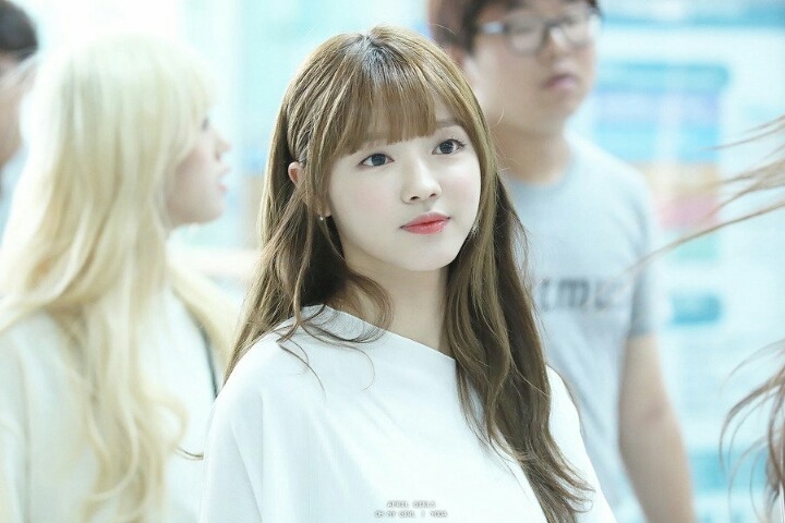 시아 이미지