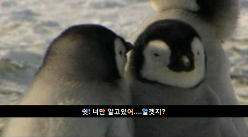 호불호 갈리는 대화 | 인스티즈