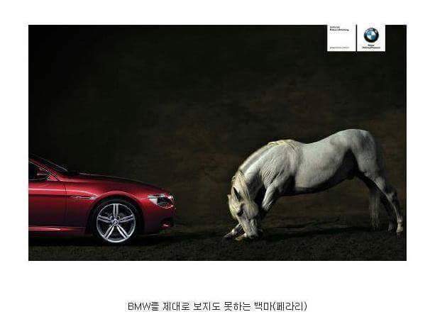 컨트롤 비트 대전을 능가하는 자동차 대전 | 인스티즈
