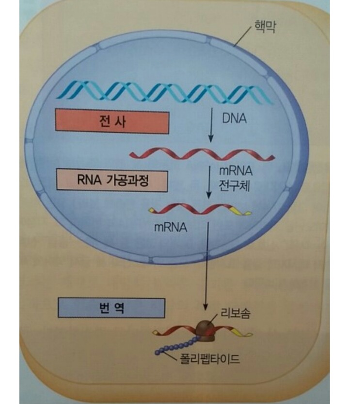 단어하나로 문과(출신)or이과(출신) 나누기!! | 인스티즈