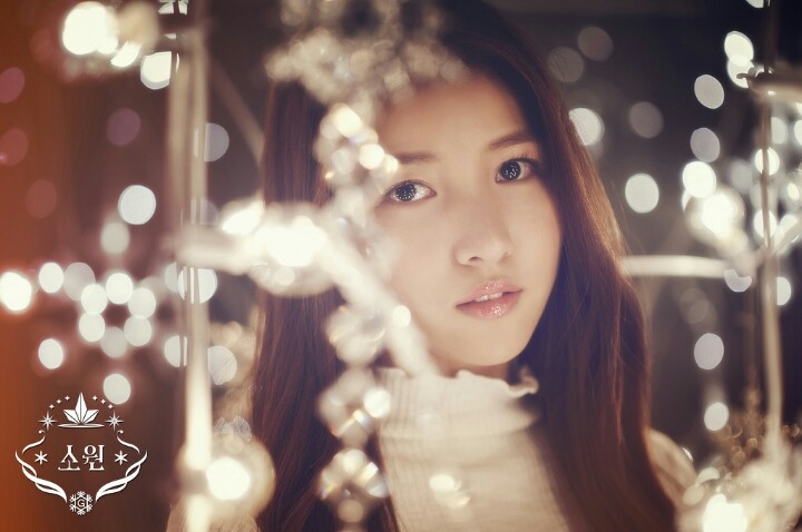 다님 이미지