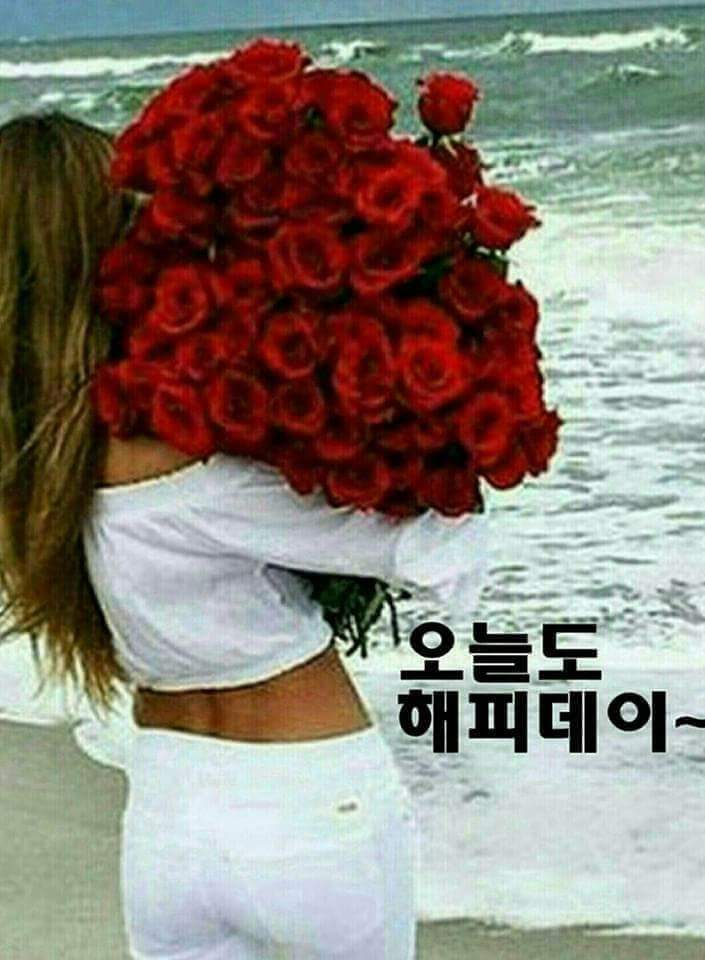 해피데이 이미지