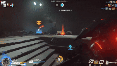 먹이를 기다리는 라인하르트.gif | 인스티즈