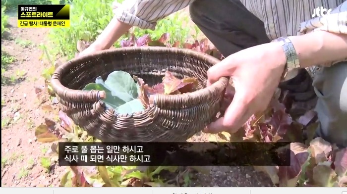 문재인을 정치로 내보내려고 8일간 농성을해도 안 하겠다는 거예요.jpg | 인스티즈