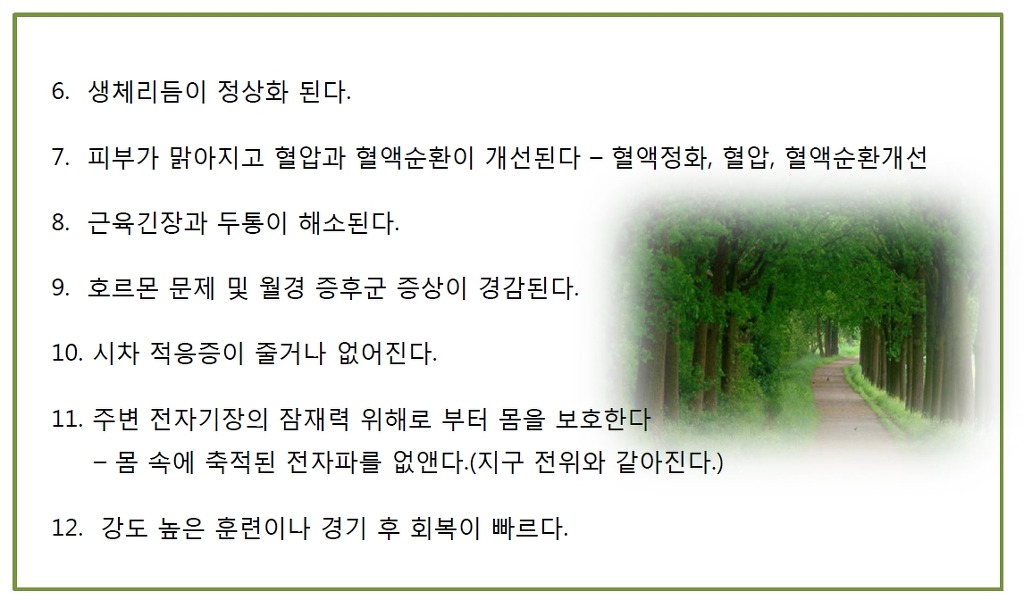 맨땅 이미지