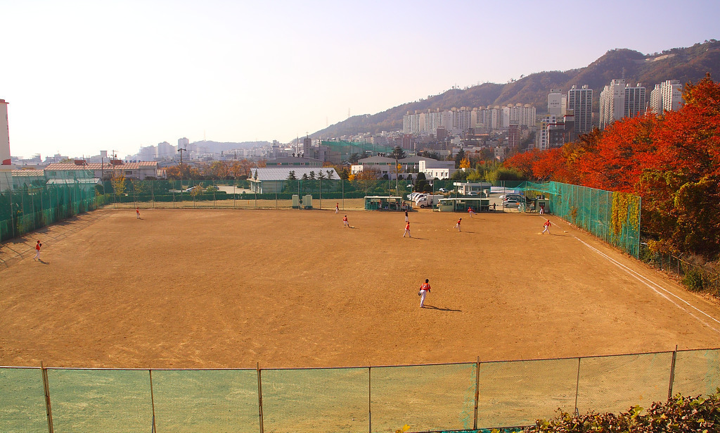 팔도가맥 이미지