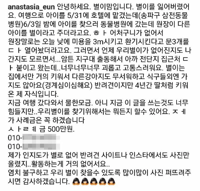 현재 인스타그램에 난리난 동물병원 사건 | 인스티즈