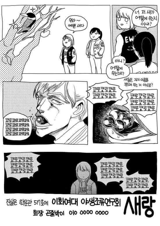 이화여대 야생 조류 연구회 홍보지 | 인스티즈
