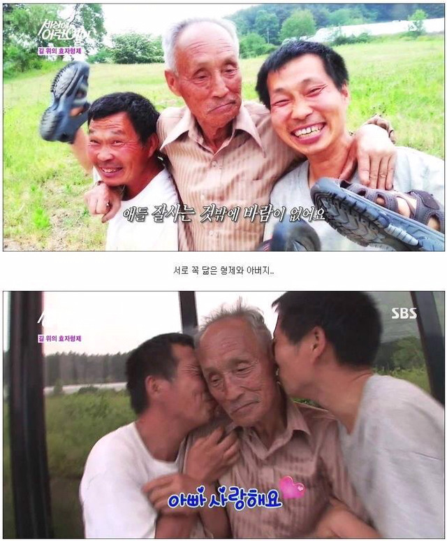 세상에 이런일이 - 길 위에 효자형제 (사이다형제) | 인스티즈