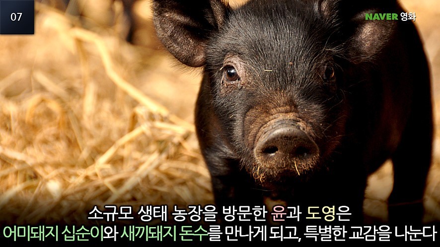영화축산 이미지