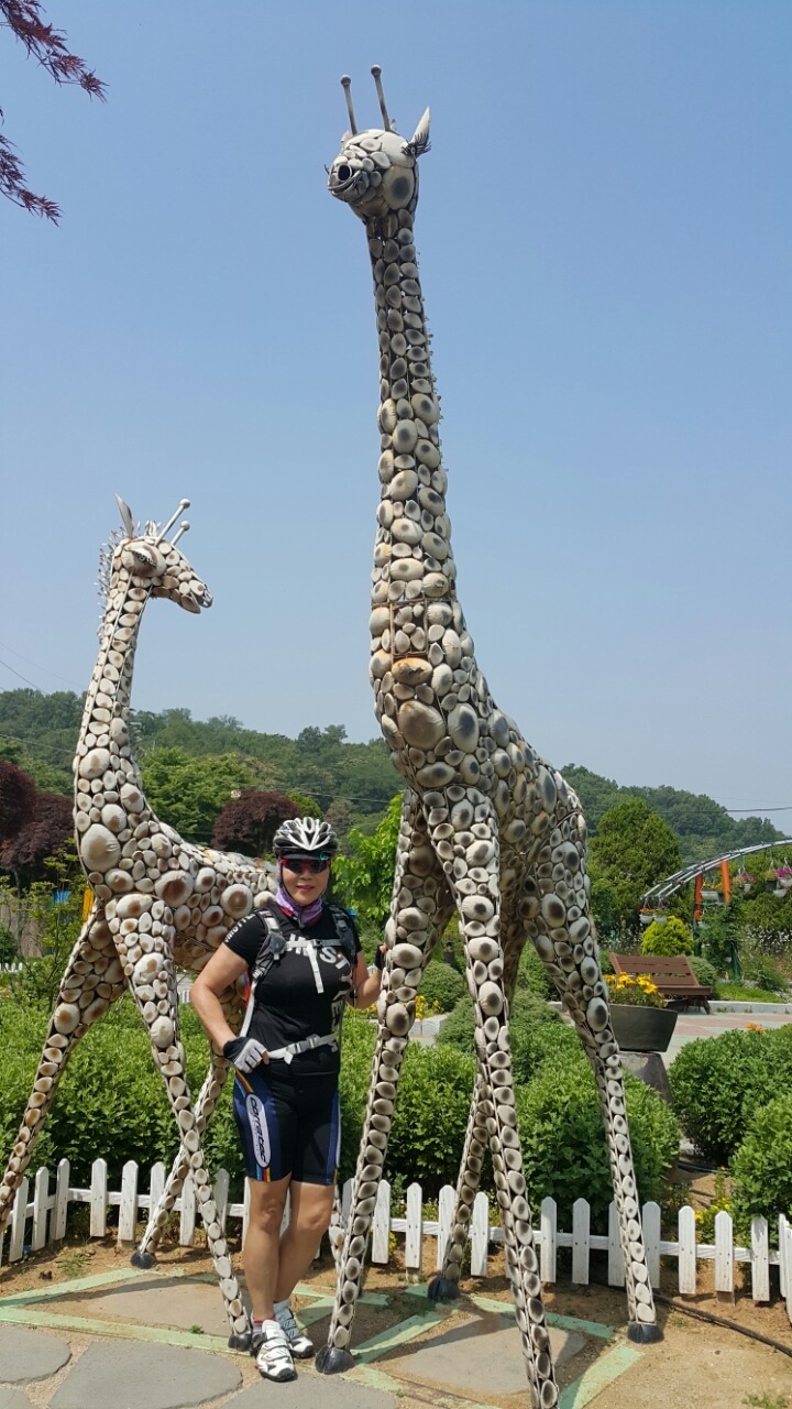 용도수목원 이미지