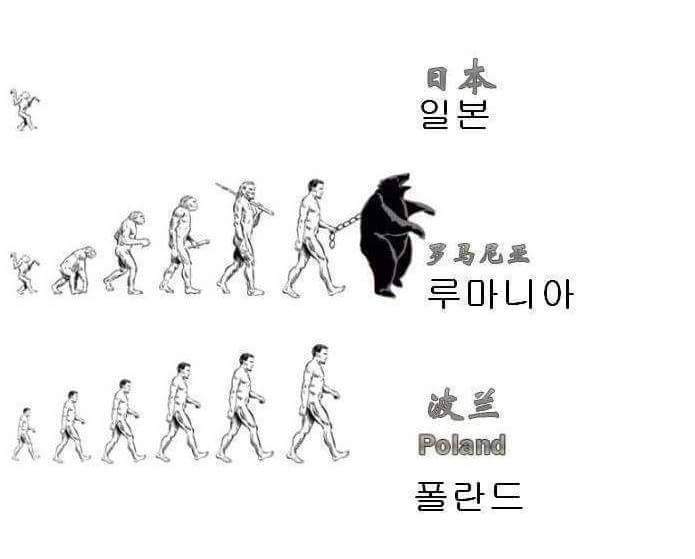 국가별 인류의 진화 | 인스티즈