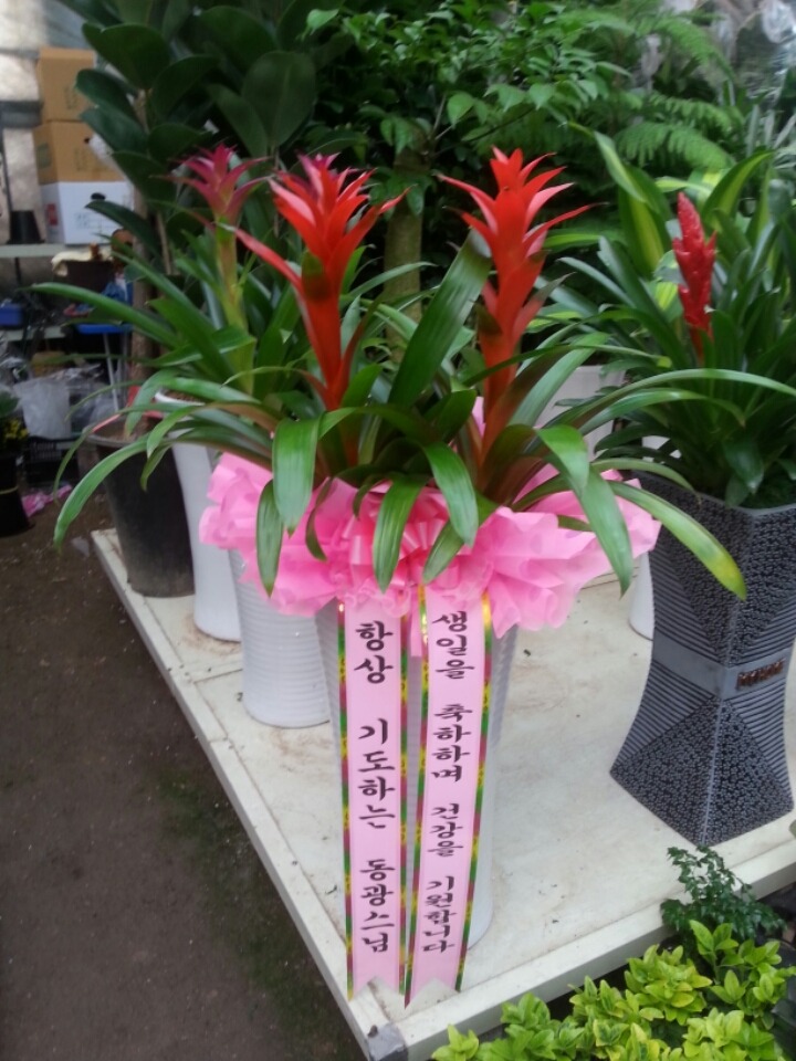 동광모터스 이미지