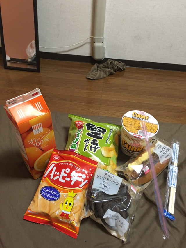 나홀로 교토여행 13박14일(2일차-2 닌나지,료안지,묘신지) | 인스티즈