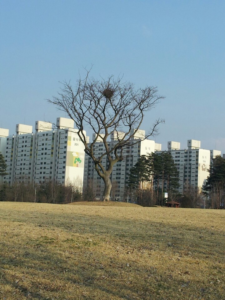 한밭1호 이미지