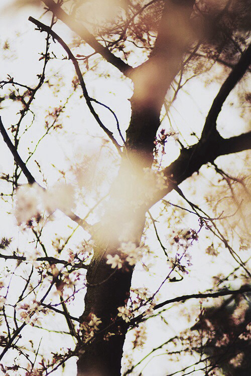 나 이끼처럼 당신을 덮고 있어요.﻿ | 인스티즈