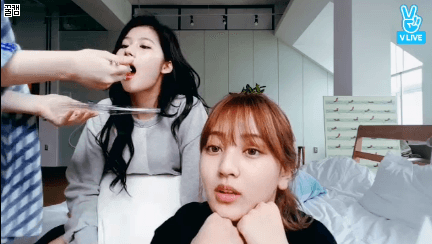 잘먹는 사나.gif | 인스티즈