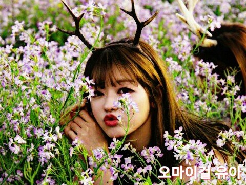 메이플 넷카마의 추억 | 인스티즈