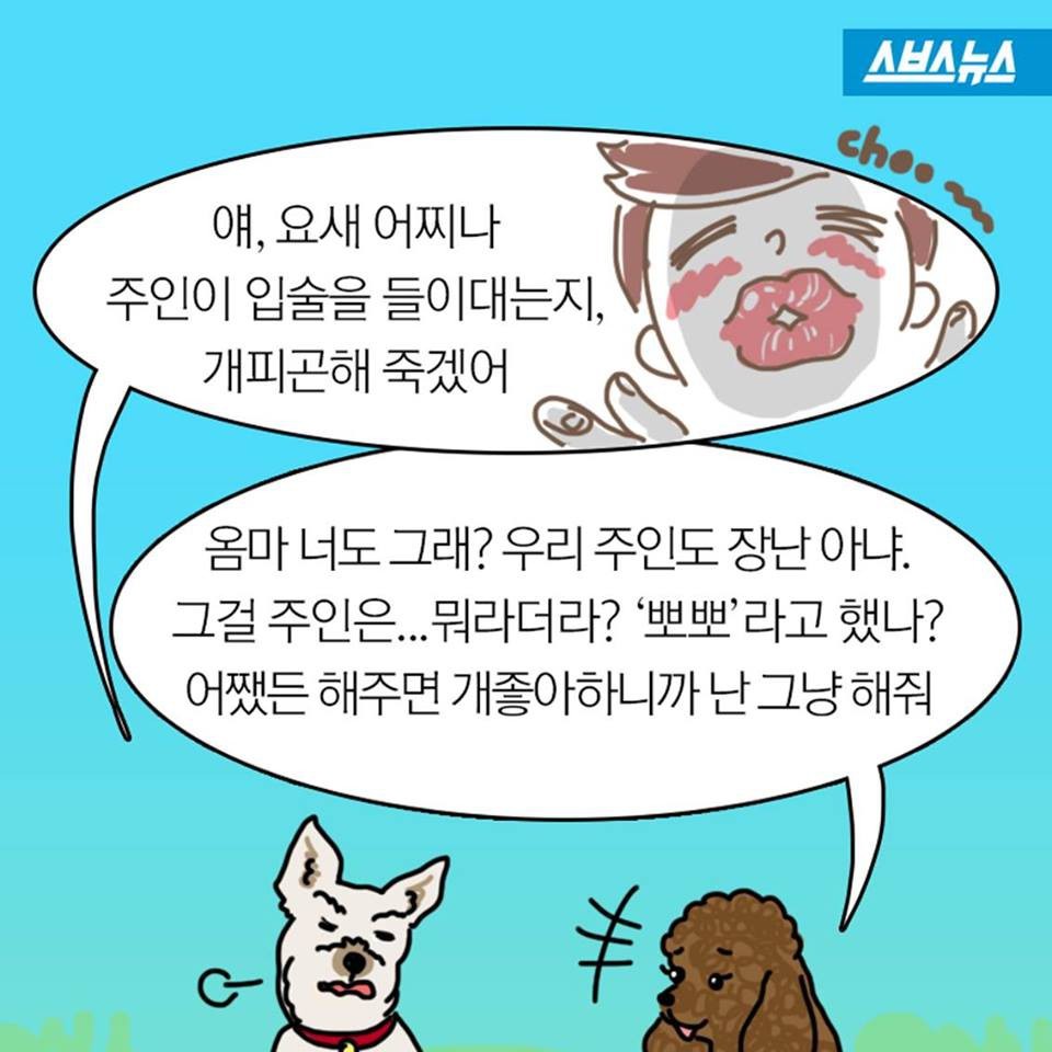 개들이 뽀뽀를 피하는 이유.jpg | 인스티즈