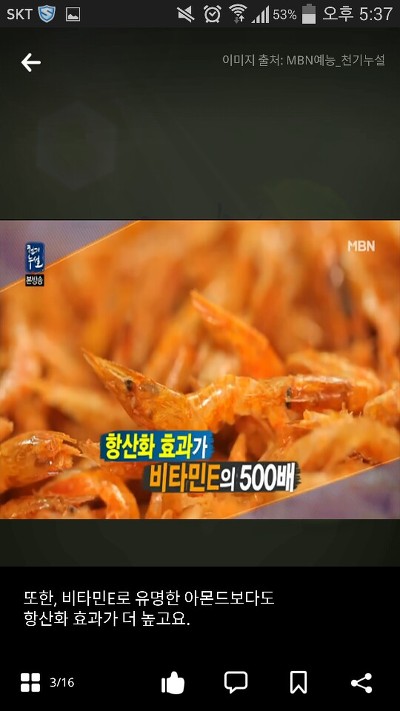새우를 많이 먹어도 되는 합법적인 이유ㅋㅋㅋㅋㅋㅋ | 인스티즈