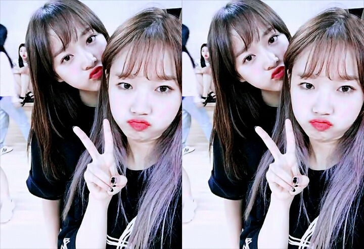 아이오아이가 해체하면 더이상 보기 힘든 것 들 | 인스티즈