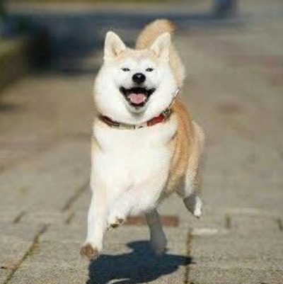 굿모닝 이미지
