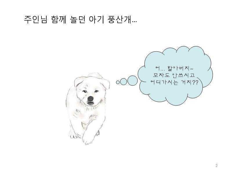 치매 할아버지를 구한 아기 풍산개 | 인스티즈