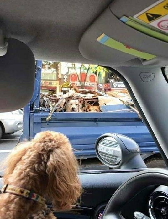 왠지 서글퍼지는 사진한장 | 인스티즈