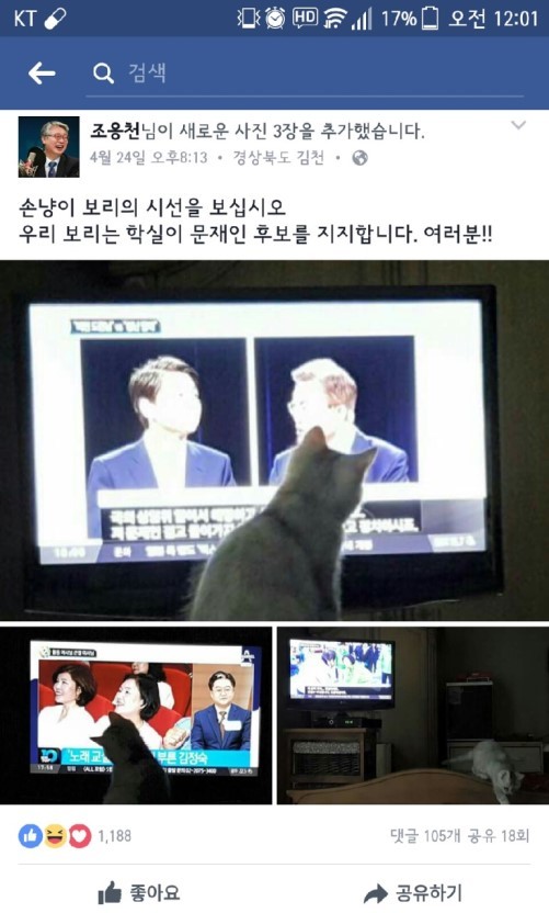 냥집사들 🐱 (사진 엄청많음 주의) | 인스티즈