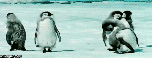 새끼 펭귄들.jpgif | 인스티즈