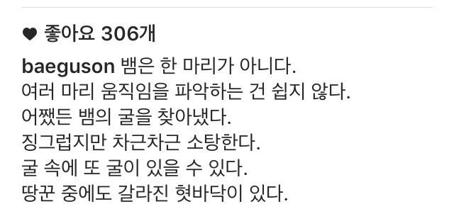 배짱잘 인스타 | 인스티즈