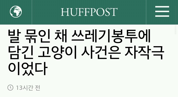 발 묶인 채 쓰레기봉투에 담긴 고양이 사건은 자작극이었다 | 인스티즈