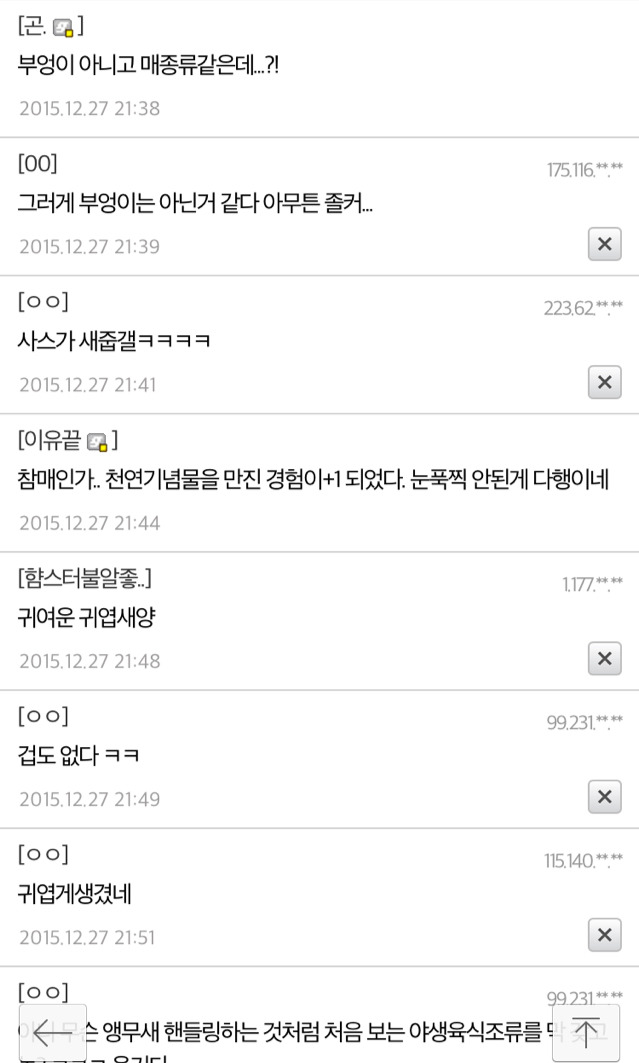 길가다 부엉이 주운 디씨인.jpg | 인스티즈