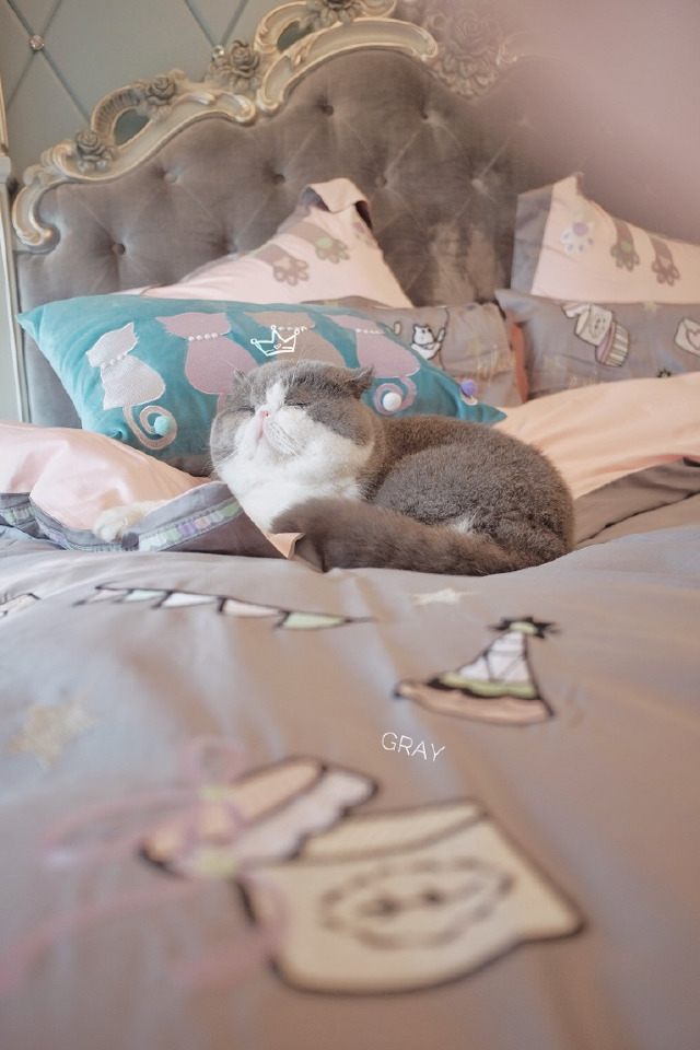 인형이 아니다옹~ (-ㅅ-)♡.jpg | 인스티즈