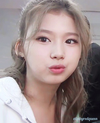 트와이스 사랑둥이 사나 .jpg | 인스티즈