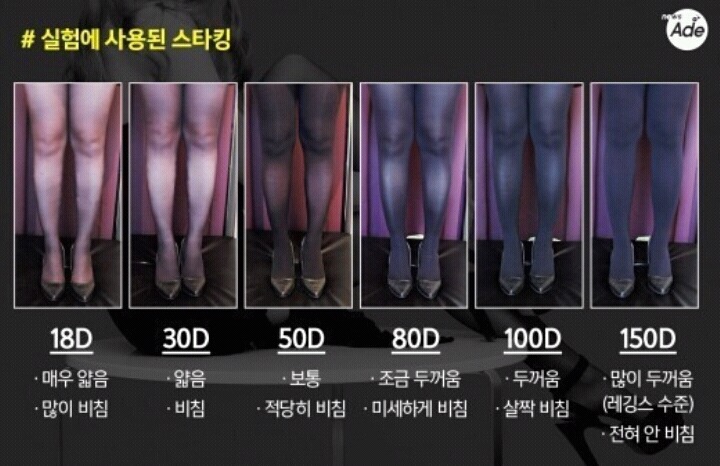 스타킹의 비치는 정도에 따른 타입.jpgif | 인스티즈